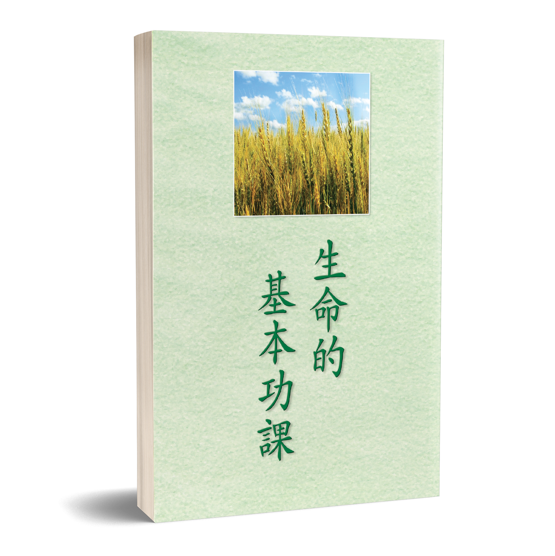 生命的基本功課 封面