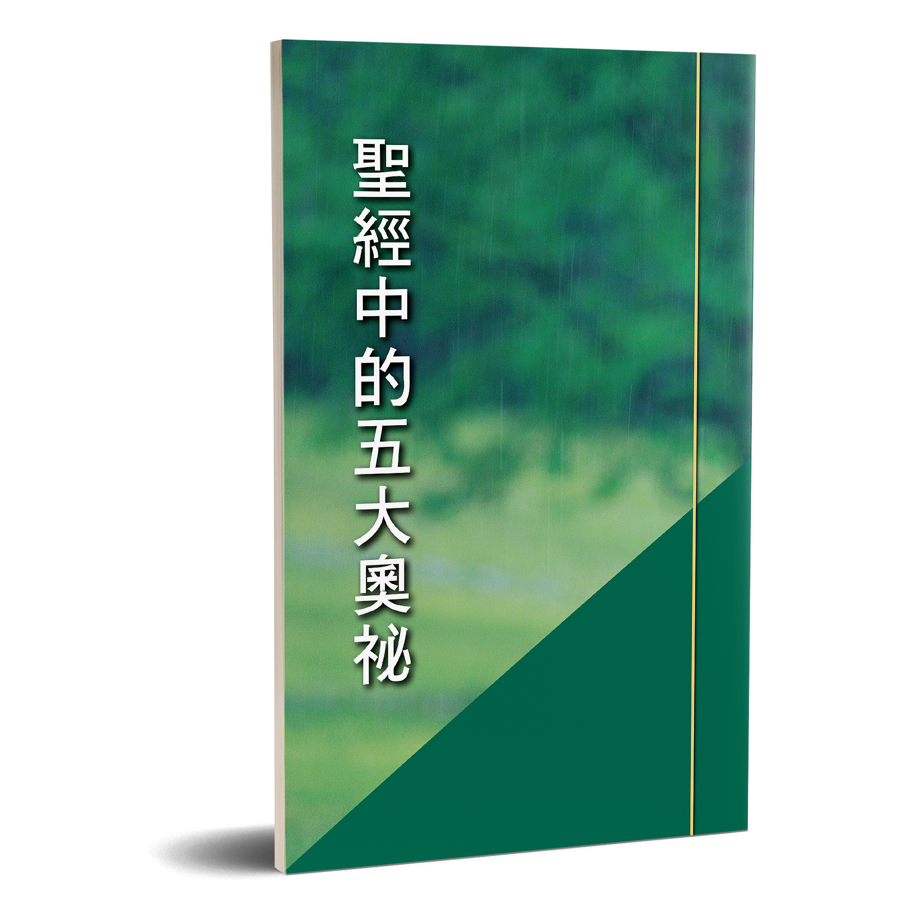 聖經中的五大奧祕 封面