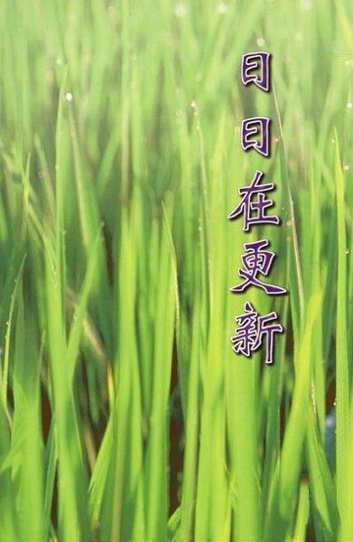 日日在更新 封面