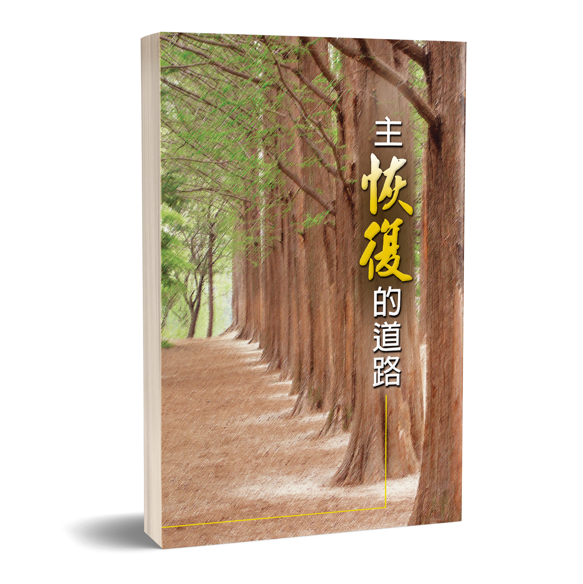主恢復的道路 封面