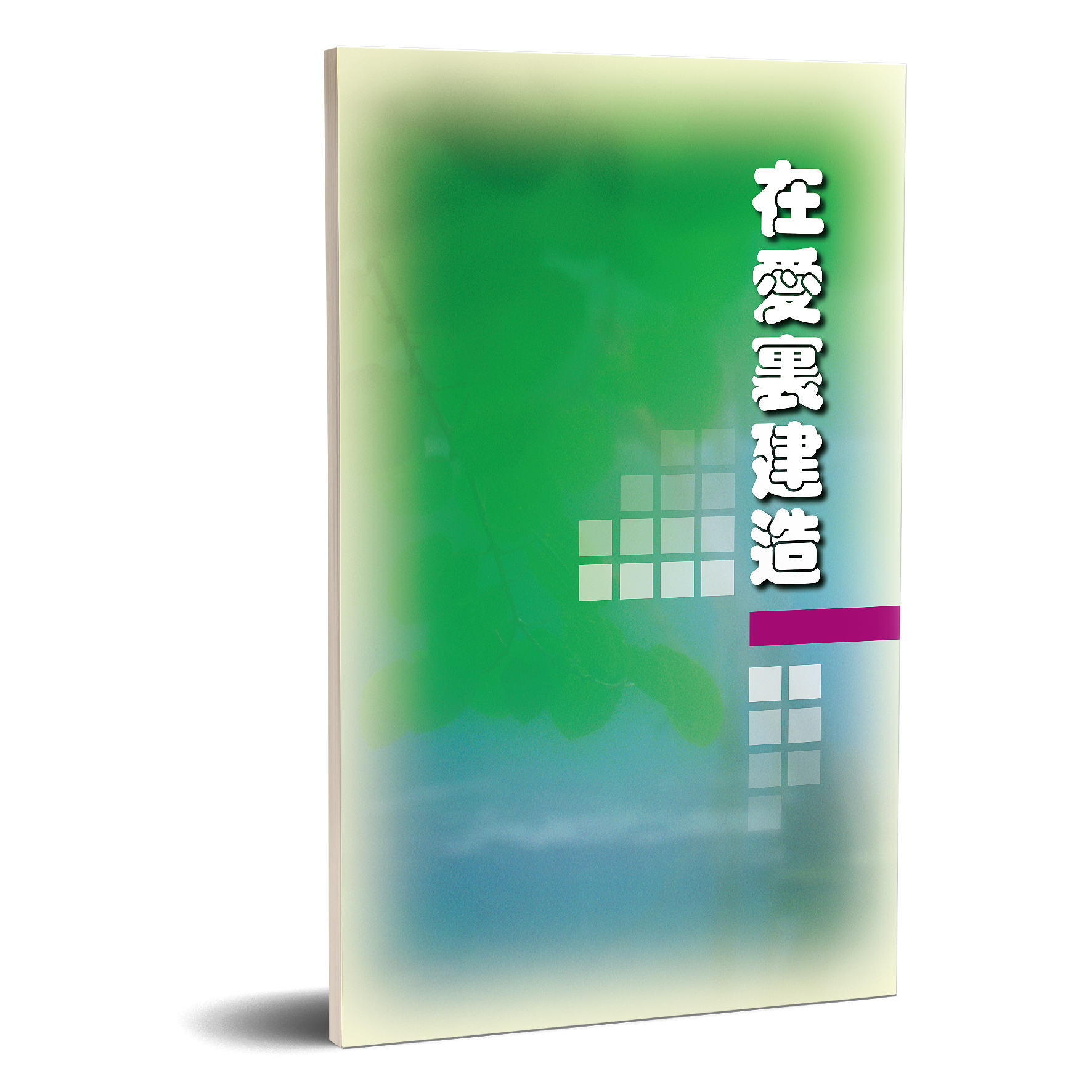 在愛裏建造 封面