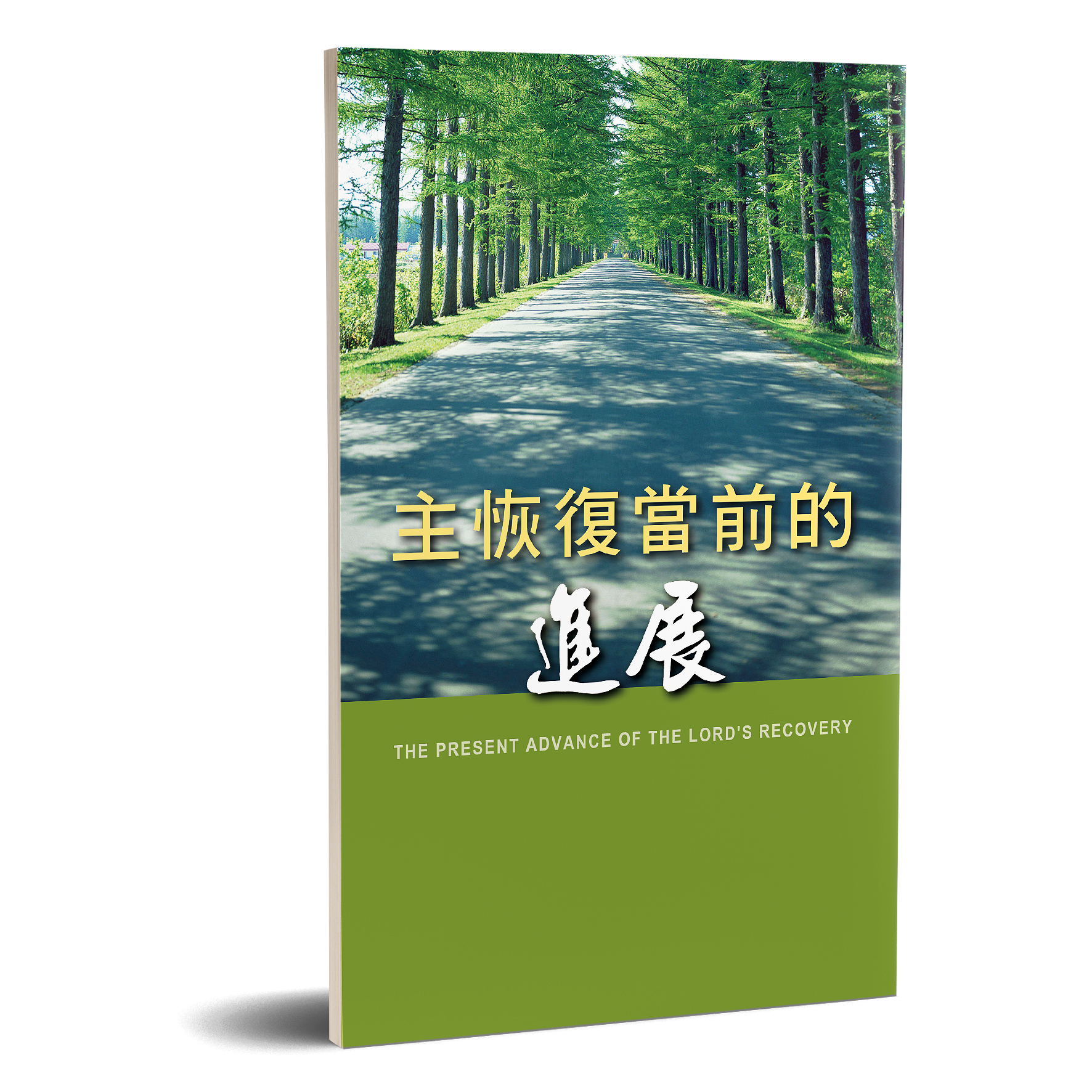 主恢復當前的進展 封面