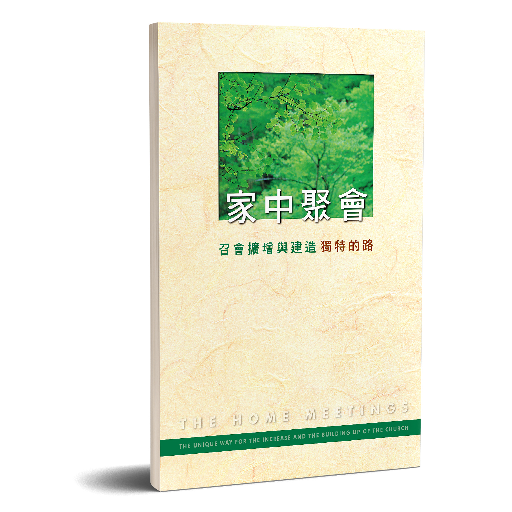 家中聚會 封面