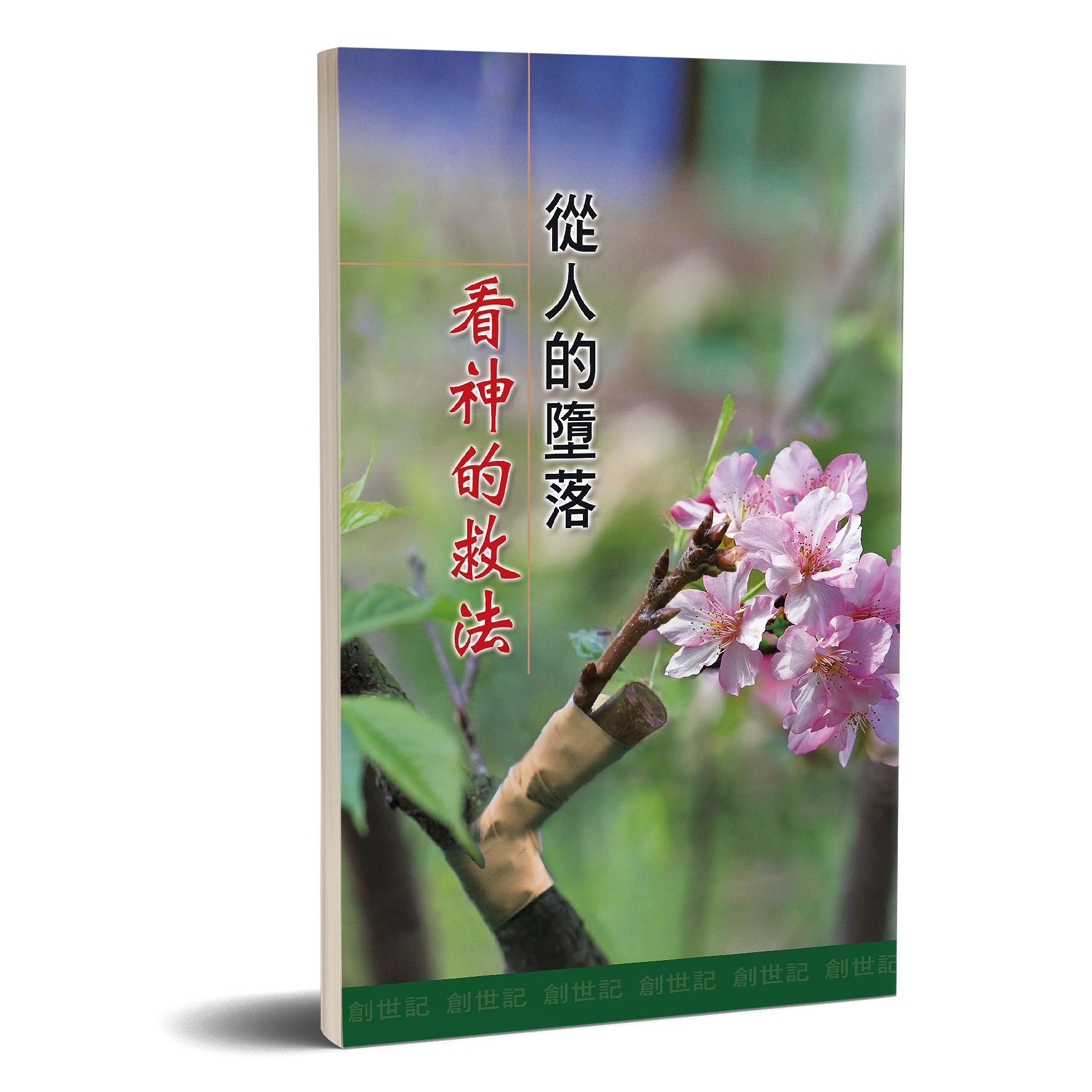 從人的墮落看神的救法 封面