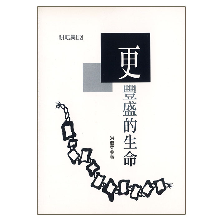 更豐盛的生命 封面