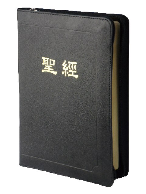 新標點和合本CUNPCS077Z上帝版/橫排型/串珠/皮面/拉鍊 封面