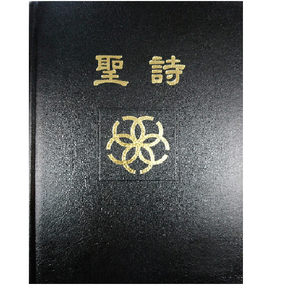 金邊聖詩-2009年版本 封面
