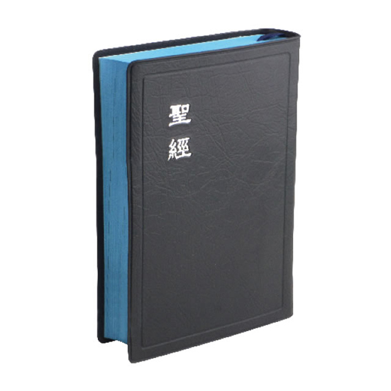 和合本CU52BU上帝版/膠皮/藍皮藍邊 封面