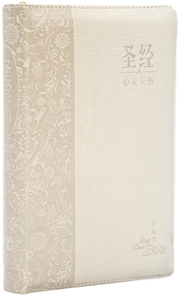 心靈關懷聖經—新譯本 簡體．神字版 淺棕色儷皮金邊 封面