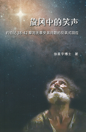 旋風中的笑聲：約伯記38-42章對無辜受苦問題的反諷式回應（簡體字） 封面