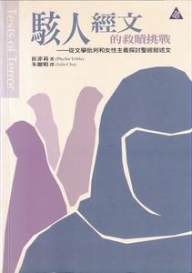 駭人經文：從文學批判和女性主義探討聖經 封面