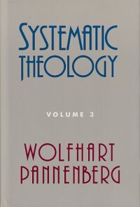 Systematic Theology (Volume 3) 封面