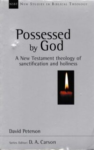 Possessed by God: A New Testament Theology of Sanctification and Holiness 封面