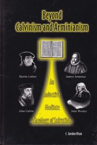 Beyond Calvinism and Arminianism: An Inductive, Mediate Theology of Salvation 封面