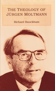 The Theology of Jurgen Moltmann 封面