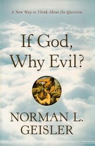 If God, Why Evil?: A New Way to Think About the Question 封面