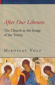 After Our Likeness: The Church as the Image of the Trinity 封面