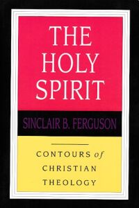 The Holy Spirit (Contours of Christian Theology) 封面