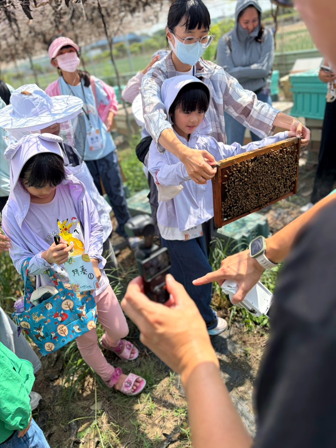 兒童夏令營第二天到養蜂場近距離觀察養蜂達人