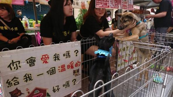 宣傳圖